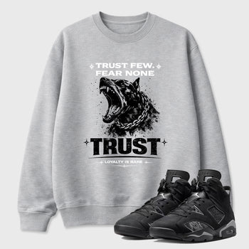 Sneaker match tees – Sneaker Tees To Match Air Jordan 6 Cap and Gown Shoes – Royalty is Rare Tee Heather Grey 1