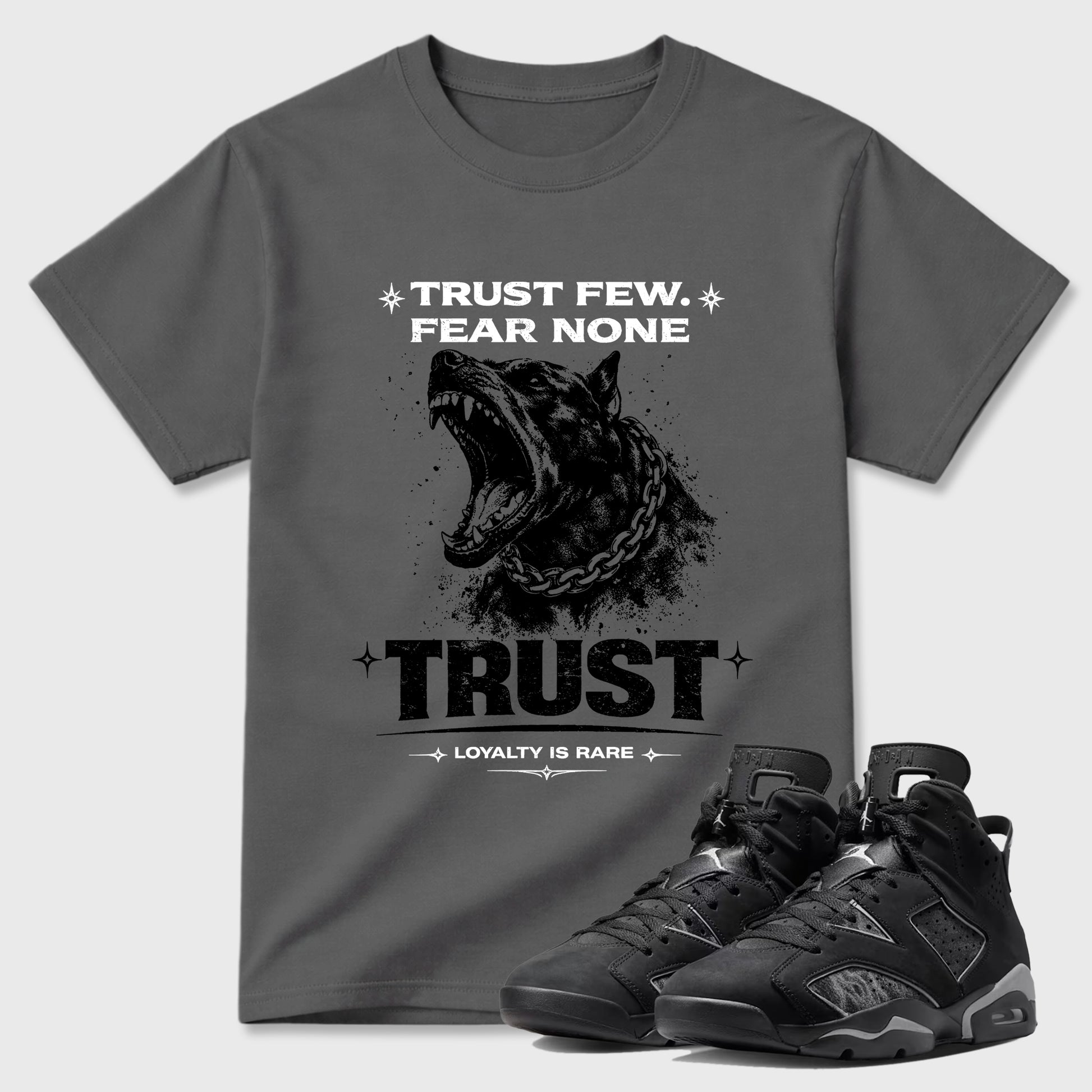 Sneaker match tees – Sneaker Tees To Match Air Jordan 6 Cap and Gown Shoes – Royalty is Rare Tee Cool Grey 1