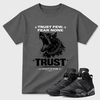 Sneaker match tees – Sneaker Tees To Match Air Jordan 6 Cap and Gown Shoes – Royalty is Rare Tee Cool Grey 1