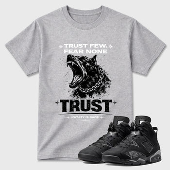 Sneaker match tees – Sneaker Tees To Match Air Jordan 6 Cap and Gown Shoes – Royalty is Rare Tee Heather Grey 1