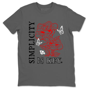 3s Black Cement shirts to match jordans Simplicity Is Key sneaker match tees Air Jordan 3 Retro OG Black Cement match shoes to clothes SNRT Sneaker Tees unisex cotton Cool Grey 2 shirts
