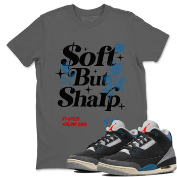 Soft But Sharp sneaker match t-shirt styled to complete your fit with the Air Jordan 3 Rare Air sneakers, shown in Cool Grey 1.