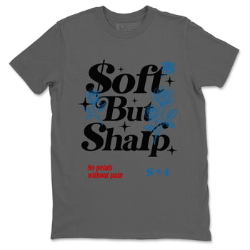 Soft But Sharp sneaker match t-shirt styled to complete your fit with the Air Jordan 3 Rare Air sneakers, shown in Cool Grey 2.