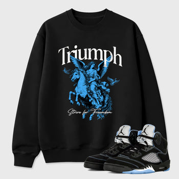 Triumph Graphic T-Shirt sneaker match tee designed for the Air Jordan 5 Black Carolina, featuring coordinated color options for a perfect streetwear match. Black 1 shirt.