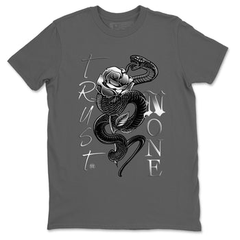Adidas AE 1 Silver Metallic shirts to match jordans Trust None sneaker match tees AE 1 Silver Metallic match shoes to clothes SNRT Sneaker Tees unisex cotton Cool Grey 2 shirts