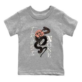 Sneaker match tees – Sneaker Tees To Match Air Jordan 1 Baroque Brown Shoes – Trust None Kids T-Shirt Heather Grey 2