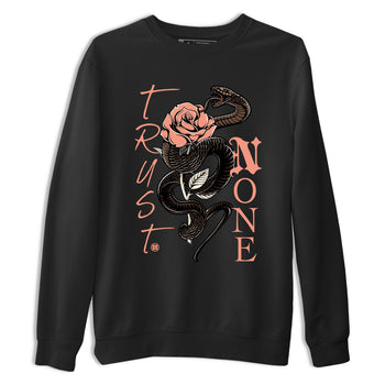 Sneaker match tees – Sneaker Tees To Match Air Jordan 1 Baroque Brown Shoes – Trust None Tee Black 2