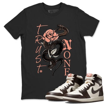 Sneaker match tees – Sneaker Tees To Match Air Jordan 1 Baroque Brown Shoes – Trust None Tee Black 1