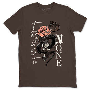 Sneaker match tees – Sneaker Tees To Match Air Jordan 1 Baroque Brown Shoes – Trust None Tee Dark Chocolate 2