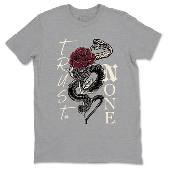 4s A Ma Maniere x Fossil Stone shirts to match jordans Trust None sneaker match tees Air Jordan 4 A Ma Maniere x Fossil Stone match shoes to clothes SNRT Sneaker Tees unisex cotton Heather Grey 2 shirts