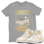 Missing Sneaker SNRT Sneaker Tees - Air Jordan 12 Phantom