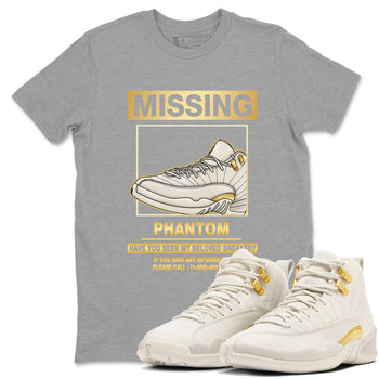 Missing Sneaker SNRT Sneaker Tees - Air Jordan 12 Phantom - SNRT Sneaker T-shirts