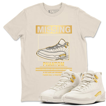 Missing Sneaker SNRT Sneaker Tees - Air Jordan 12 Phantom - SNRT Sneaker T-shirts