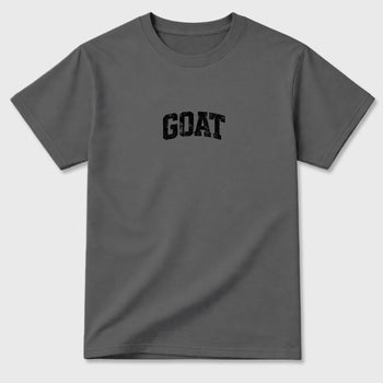 Sneaker match tees – Sneaker Tees To Match Air Jordan 6 Cap and Gown Shoes – Vintage Goat Tee Cool Grey 2