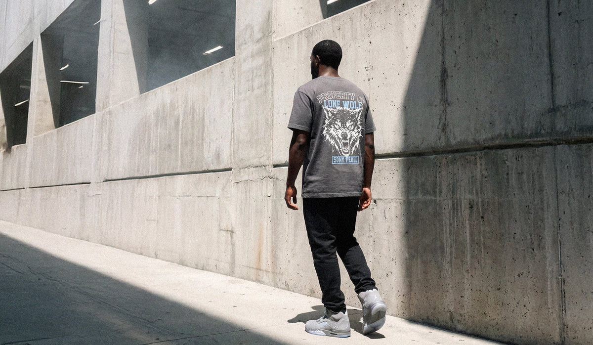 Air Jordan 5 Wolf Grey