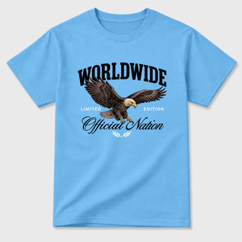 Sneaker match tees – Sneaker Tees To Match Air Jordan 14 University Blue Shoes – Worldwide Official Nation Tee Carolina Blue 2