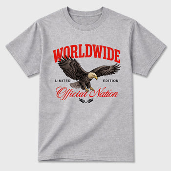 Sneaker outfits graphic tee – Sneaker Tees To Match Air Jordan 6 Infrared Sneakers – Worldwide Official Nation Tee Heather Grey 2