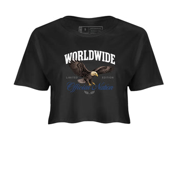 Sneaker match tees – Sneaker Tees To Match Air Jordan 9 Flint Grey Shoes – Worldwide Official Nation Crop T-Shirt Black 2