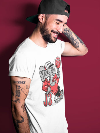 Jordan 3 Fire Red Sneaker Match Tees Elephant Sneaker Tees Jordan 3 Fire Red Sneaker Release Tees Unisex Shirts