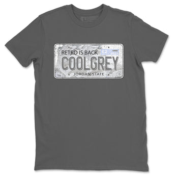 Jordan 6 Cool Grey Sneaker Match Tees Jordan Plate Sneaker Tees Jordan 6 Cool Grey Sneaker Release Tees Unisex Shirts