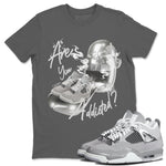 Air Jordan 4 Light Iron Ore shirt to match jordans Are You Addicted sneaker tees AJ4 Frozen Moments SNRT Sneaker Release Tees Unisex Cool Grey 1 T-Shirt
