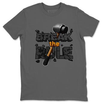 Air Jordan 3 Fear shirt to match jordans Break The Rule sneaker tees AJ3 Fear SNRT Sneaker Release Tees Unisex Cool Grey 2 T-Shirt