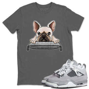 AJ4 Frozen Moments shirt to match jordans French Bulldog sneaker tees Crew Neck AJ4 Frozen Moments SNRT Sneaker Release Tees Unisex Casual Shirts Cool Grey 1 T-Shirt