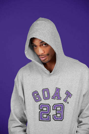 Jordan 13 Court Purple Sneaker Match Tees Goat 23 Sneaker Tees Jordan 13 Court Purple Sneaker Release Tees Unisex Shirts