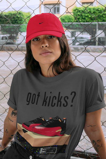 Jordan 12 Super Bowl Sneaker Match Tees Got Kicks Sneaker Tees Jordan 12 Super Bowl Sneaker Release Tees Unisex Shirts