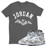 Jordan 6 Cool Grey Sneaker Match Tees Hanging Sneakers Sneaker Tees Jordan 6 Cool Grey Sneaker Release Tees Unisex Shirts