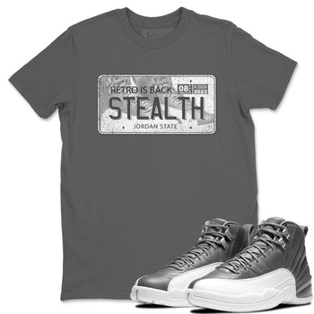 Jordan 12 Stealth Sneaker Match Tees Jordan Plate Sneaker Tees Jordan 12 Stealth Sneaker Release Tees Unisex Shirts