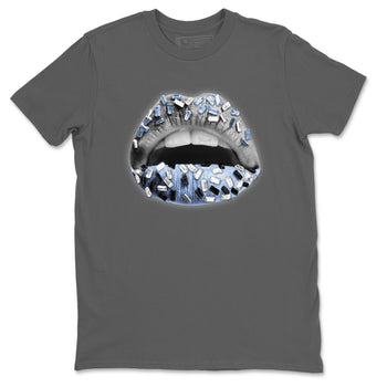 Air Jordan 11 White Cement Sneaker Match Tees Lips Jewel Sneaker Tees Air Jordan 11 Cement Grey Sneaker Release Tees Unisex Shirts Cool Grey 2