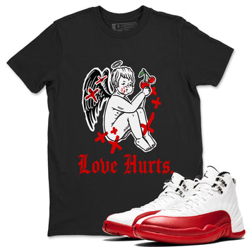 Jordan 12 Cherry shirt to match jordans Love Hurts sneaker release tees Air Jordan 12 Cherry SNRT Sneaker Tees Unisex Streetwear Clothing Black 1 T-Shirt