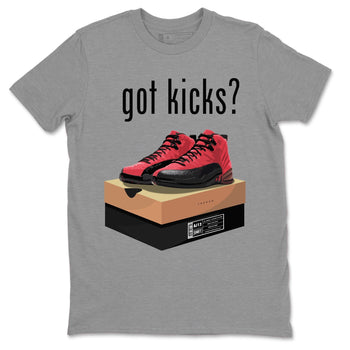 Jordan 12 Reverse Flu Game Sneaker Match Tees Got Kicks Sneaker Tees Jordan 12 Reverse Flu Game Sneaker Release Tees Unisex Shirts