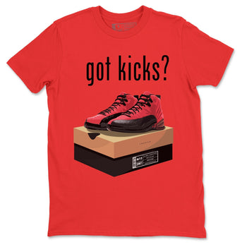 Jordan 12 Reverse Flu Game Sneaker Match Tees Got Kicks Sneaker Tees Jordan 12 Reverse Flu Game Sneaker Release Tees Unisex Shirts