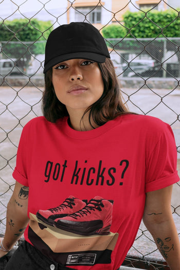 Jordan 12 Reverse Flu Game Sneaker Match Tees Got Kicks Sneaker Tees Jordan 12 Reverse Flu Game Sneaker Release Tees Unisex Shirts