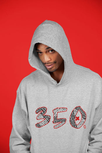 Yeezy 350 Zebra Sneaker Match Tees Number 350 Sneaker Tees Yeezy 350 Zebra Sneaker Release Tees Unisex Shirts