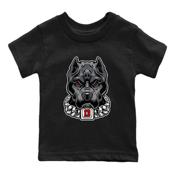 Air Jordan 13 Black Flint Pitbull Baby and Kids Sneaker Tees Air Jordan 13 Black Flint Kids Sneaker Tees Washing and Care Tip