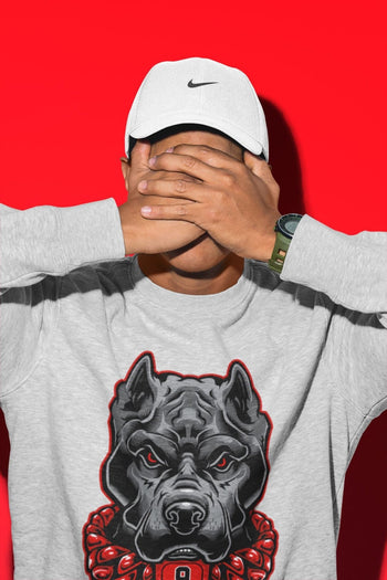 Jordan 9 Chile Red Sneaker Match Tees Pitbull Sneaker Tees Jordan 9 Chile Red Sneaker Release Tees Unisex Shirts