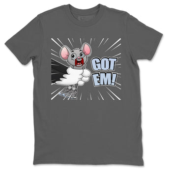 Jordan 11 Cool Grey Sneaker Match Tees T&J Got Em Sneaker Tees Jordan 11 Cool Grey Sneaker Release Tees Unisex Shirts