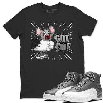 Jordan 12 Stealth Sneaker Match Tees T&J Got Em Sneaker Tees Jordan 12 Stealth Sneaker Release Tees Unisex Shirts