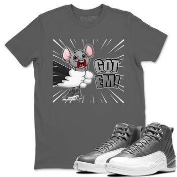 Jordan 12 Stealth Sneaker Match Tees T&J Got Em Sneaker Tees Jordan 12 Stealth Sneaker Release Tees Unisex Shirts