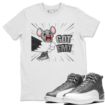Jordan 12 Stealth Sneaker Match Tees T&J Got Em Sneaker Tees Jordan 12 Stealth Sneaker Release Tees Unisex Shirts