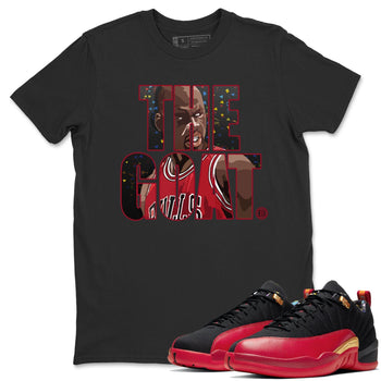 Jordan 12 Super Bowl Sneaker Match Tees The Goat Sneaker Tees Jordan 12 Super Bowl Sneaker Release Tees Unisex Shirts