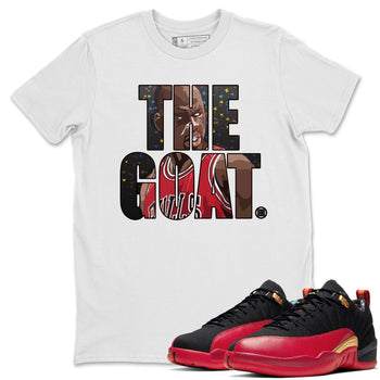 Jordan 12 Super Bowl Sneaker Match Tees The Goat Sneaker Tees Jordan 12 Super Bowl Sneaker Release Tees Unisex Shirts