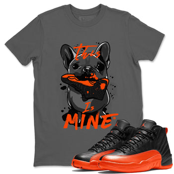Air Jordan 12 Brilliant Orange This Is Mine Crew Neck Sneaker Tees Air Jordan 12 Brilliant Orange Sneaker T-Shirts Washing and Care Tip