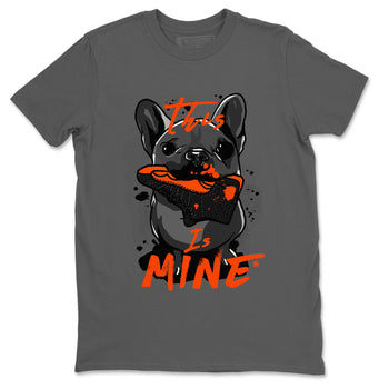 Air Jordan 12 Brilliant Orange Sneaker Match Tees This Is Mine Sneaker Tees 12s Brilliant Orange Tee Unisex Shirts Cool Grey 2
